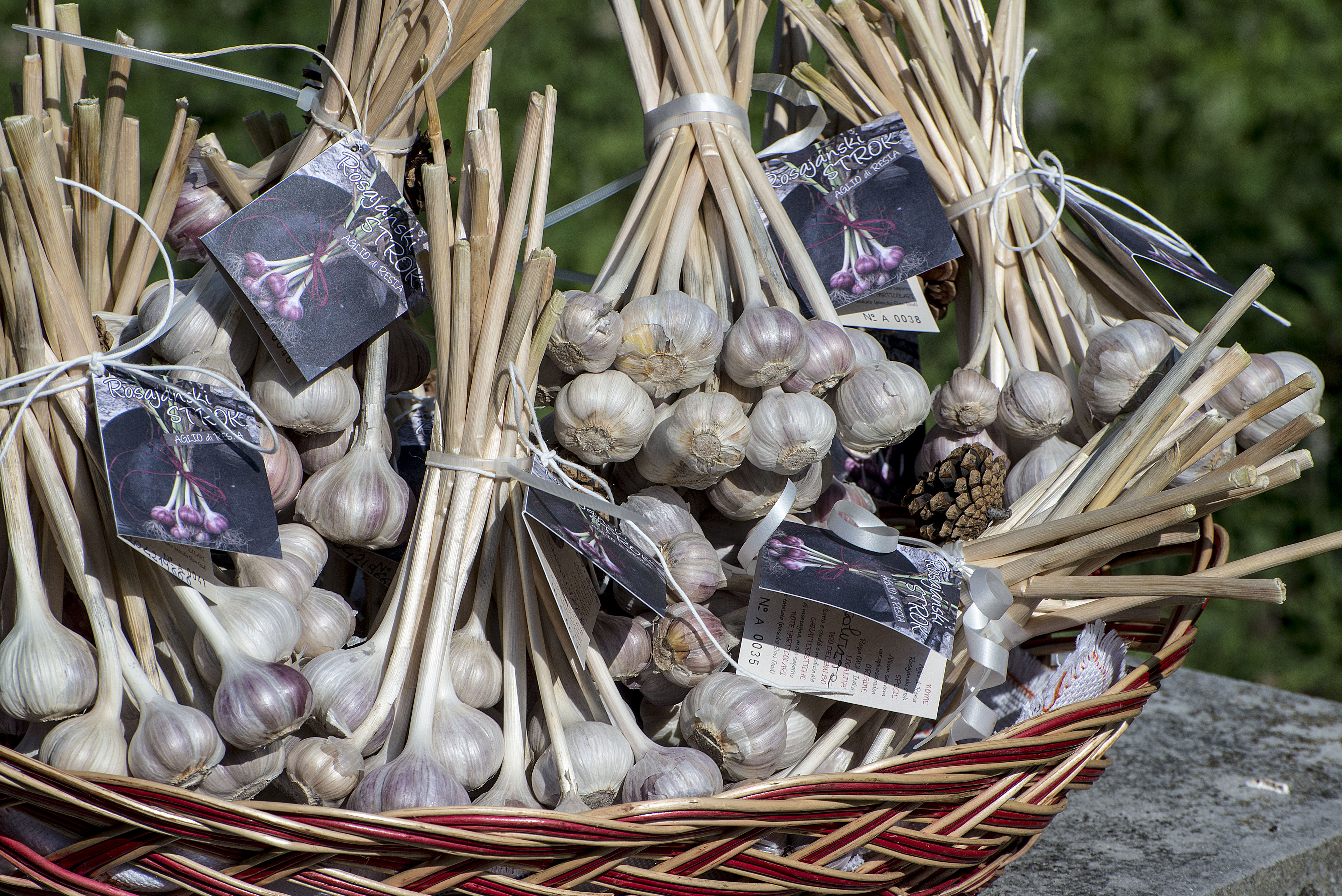 Aglio_Resia [Ph_Ulderica Da Pozzo].jpg